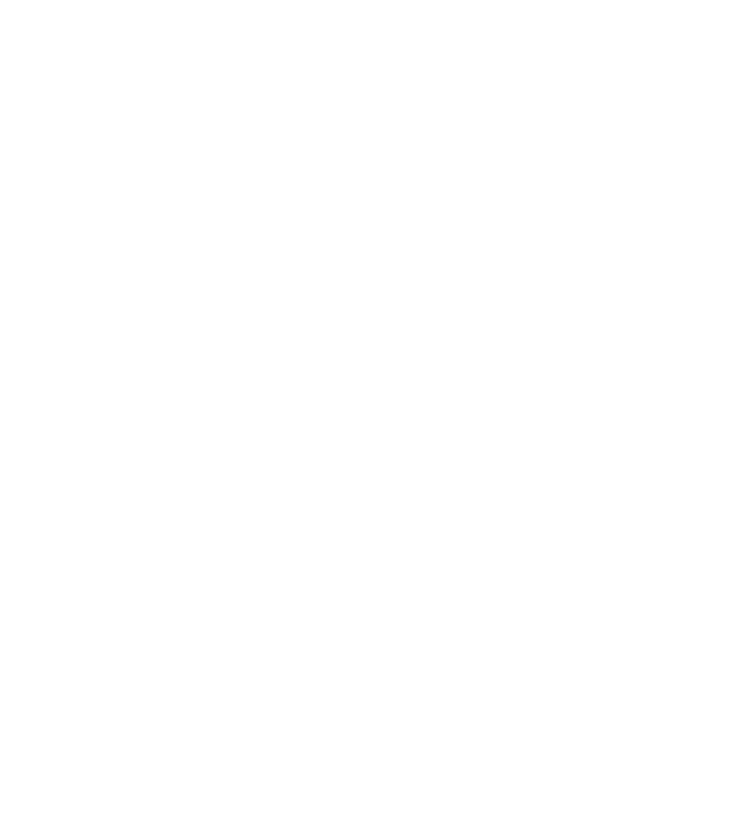 Lyon